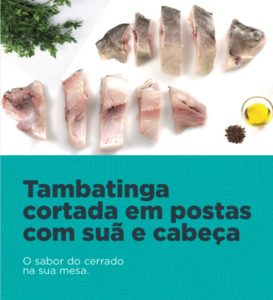 Tambatinga em postas com suã e cabeça