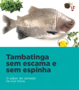 Tambatinga sem escama e sem espinha