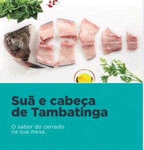 Suã e cabeça de tambatinga