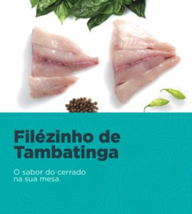 Filézinho de Tambatinga