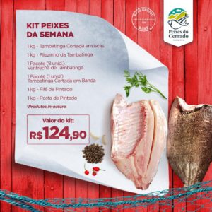 Kit Peixes da Semana